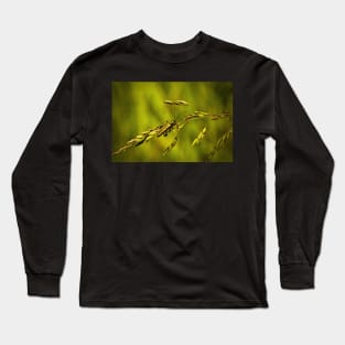 WHY GRASSES MAYBE BE SO IMPORTANT! Long Sleeve T-Shirt